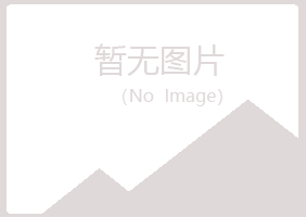 龙山区山柏金属有限公司